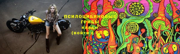 стафф Вязники