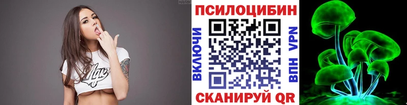 Купить где  Кулебаки  Псилоцибиновые грибы ЛСД 